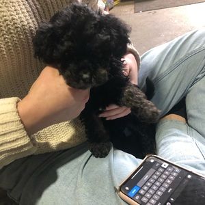 Meet your Posher, Kerry